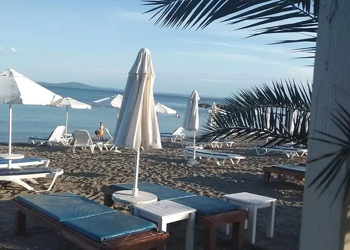 Belchevi * Burgas City